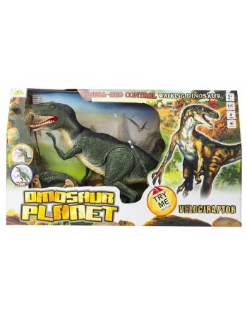 Dinozaur Velociraptor RC + dźwięki