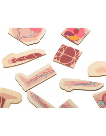 Puzzle drewniane warstwowe budowa ciała montessori dziewczynka